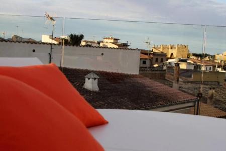 Alcudia Petit - Turismo de Interior - 19