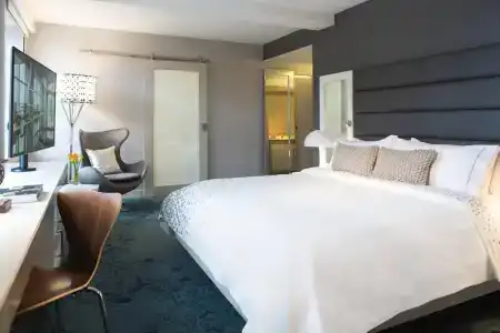 Renaissance Albany - 3