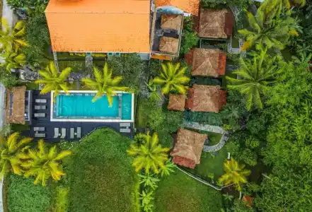 Ubud Sari Health Resort - 35