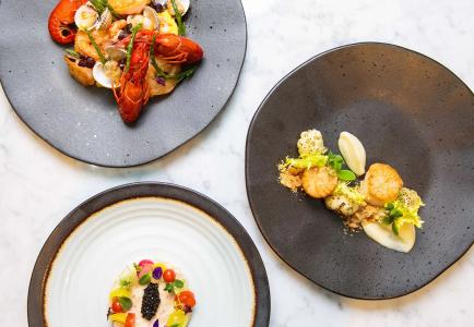 Golden Tulip Central - 12