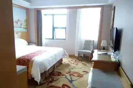 Vienna International(Shenzhen Longgang Tianan Cyber Park) - 5