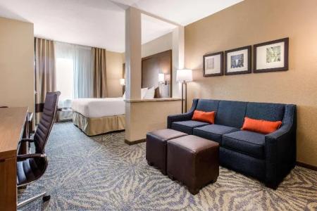 Comfort Suites - South Austin - 20