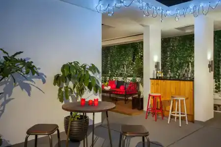 White Tree Residence - 21