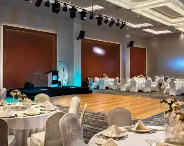 Radisson Blu, Sakarya - 21