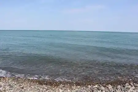 Nakashidze's - 63