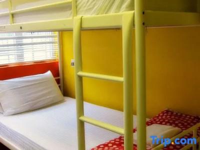 Traveller's Hostel - 16
