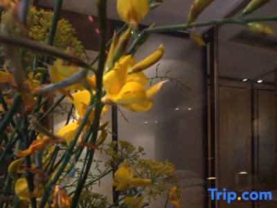 Boutique Hippocampus - 53