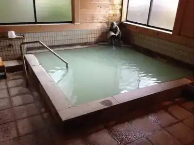 Kusatsu Onsen Nisshinkan - 13