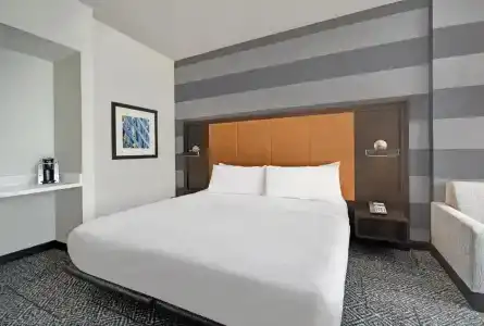 Holiday Inn Express - Houston - Galleria Area, An Ihg - 45