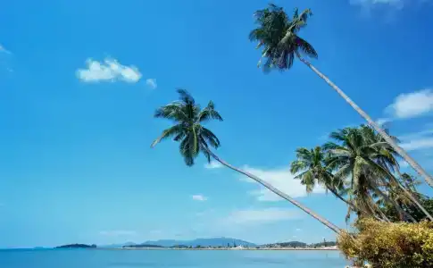 Nova Samui Resort - 21