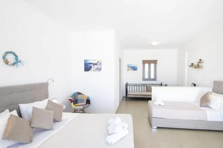 Thira's Dolphin - 80