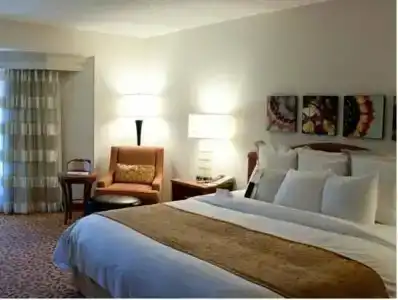 Dallas Marriott Las Colinas - 27
