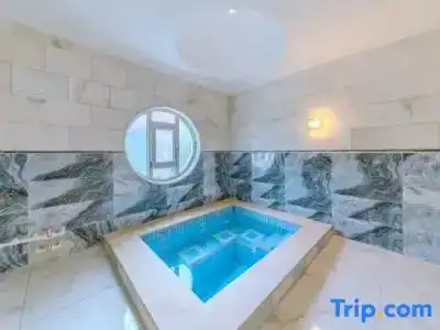 Afyon Dundar Thermal Villa - 30