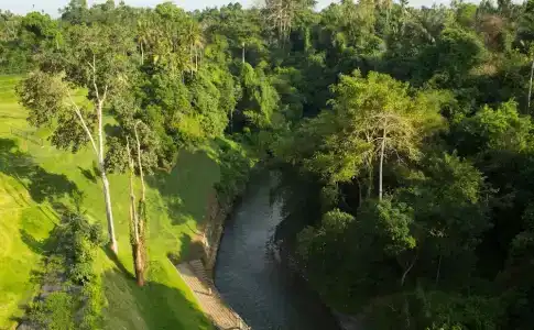 Sthala, A Tribute Portfolio, Ubud Bali - 81