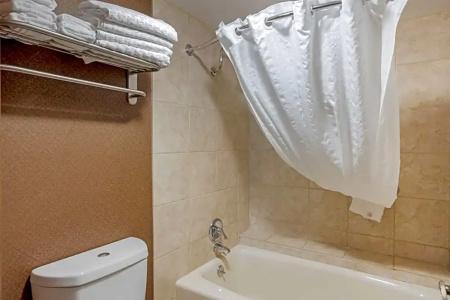 Best Western Inn of the Ozarks - 101