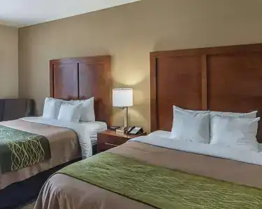 Comfort Inn South I-20 - 3