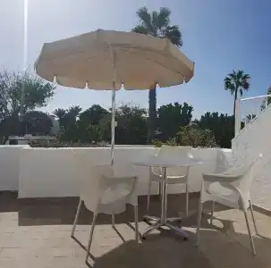 Palmeras Garden - 207