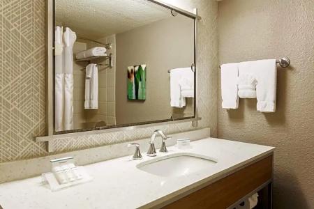 Hilton Garden Inn Dallas/Market Center - 61