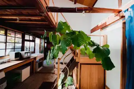 Hostel Saruya - 74