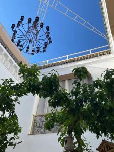 Riad Les Orangers D'alilia - 63