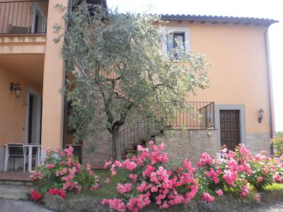 Il Poggio degli Olivi - 0