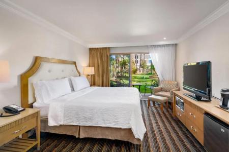Holiday Inn San Diego Bayside, An Ihg - 47
