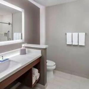 Holiday Inn Express & Suites - Odessa i-20, An Ihg - 48