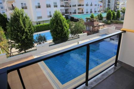 Golden World Suite - 28