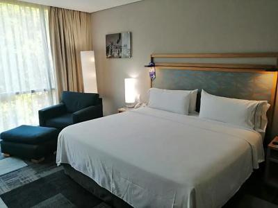 Holiday Inn Express Mexico Reforma - 46