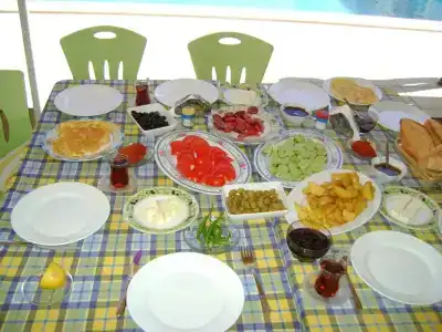 Karaca Apart - 50