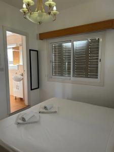 Saint Elena Boutique - 50