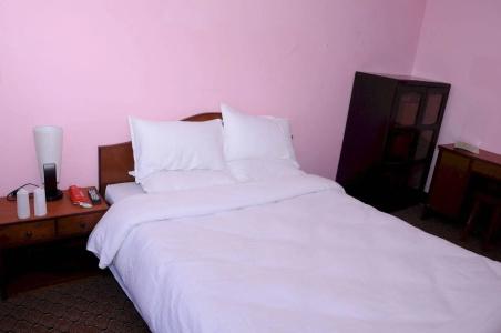Himalayan Traveller's Inn - 5