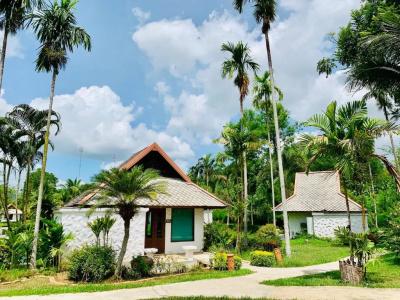 Bura Lumpai - 68