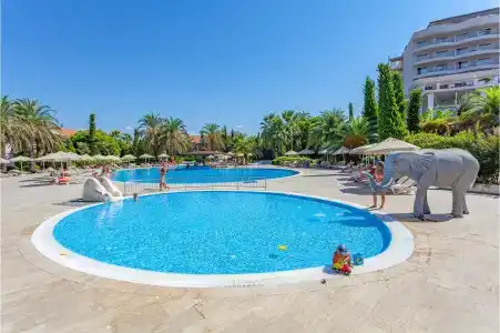 Starlight Resort - 46