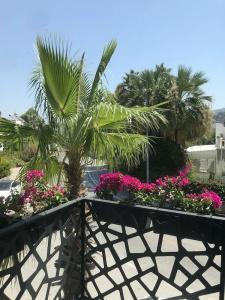 Sea Palm Otel Yalıkavak - 56