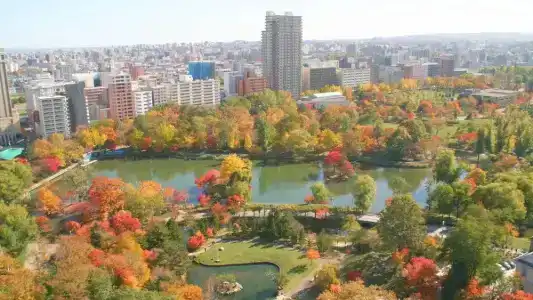 Premier Nakajima Park Sapporo - 169