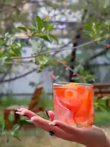 Есенин и Бар - 24