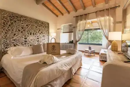 Hôtel Le Roi Théodore & Spa - 30