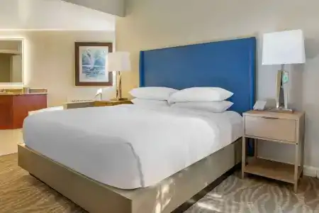Hilton Grand Vacations Club SeaWorld Orlando - 50