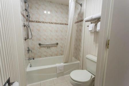Stanford Motor Inn - 8