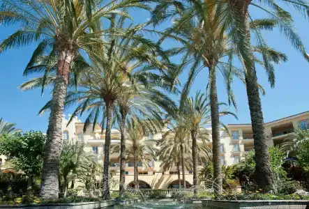 Palm Oasis Maspalomas - 15