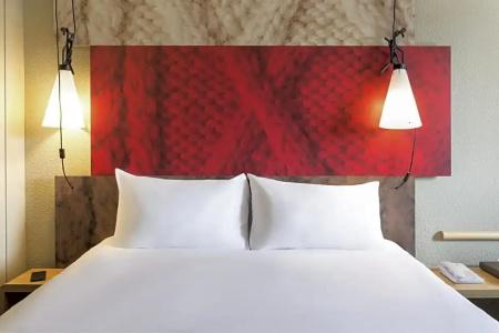 ibis Rennes Centre Gare Sud - 45