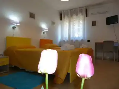 b&b Il Tulipano - 10