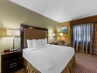 Best Western Royal Sun Inn & Suites - 85