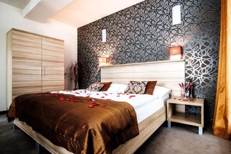 Deluxe with free Wellness and Fitness Centrum - 4
