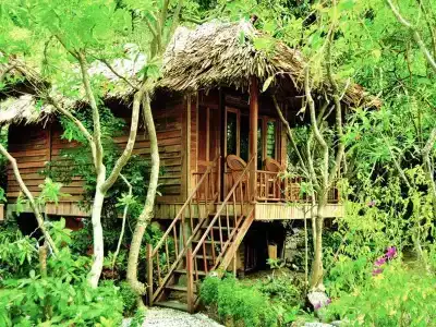 Monkey Island Resort - 64