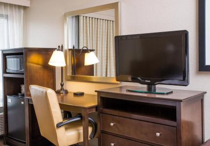 Hampton Inn Dallas-Irving-Las Colinas - 2