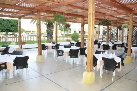 Thapsus Beach Resort - 19