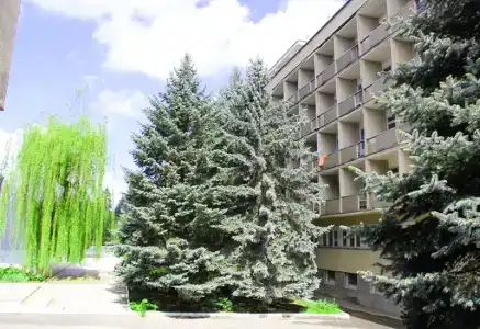 Голубые ели - 9