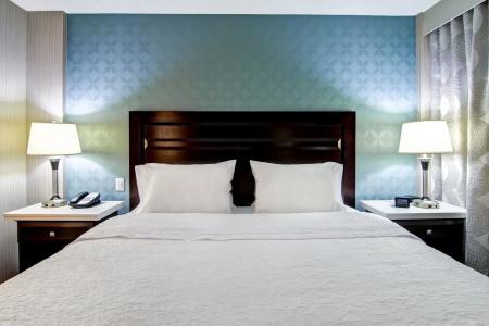 Hampton Inn & Suites by Hilton-Airport - 5